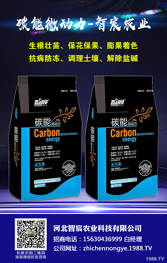 西瓜的需肥特性，西瓜施肥四禁忌！