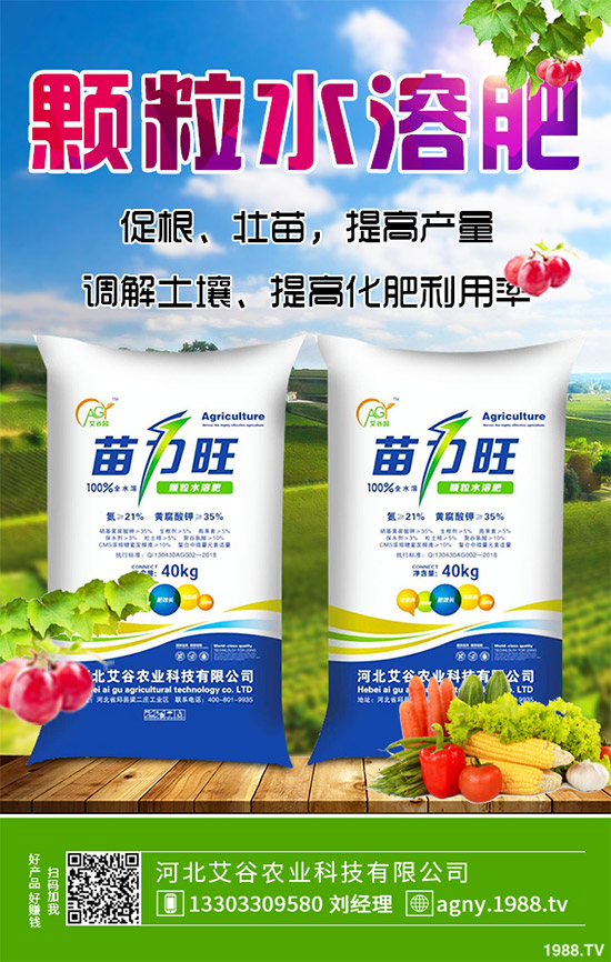 黑番茄有哪些營養(yǎng)價值？功效作用有哪些？黑番茄的功效作用及種植前景