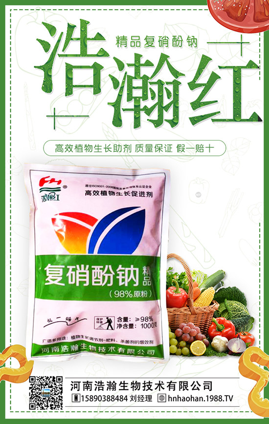 番茄什么時間種植，番茄種植技術(shù)及管理要點！