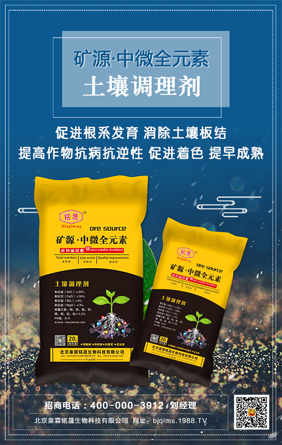 黑芝麻什么時(shí)間種植？黑芝麻栽培技術(shù)要點(diǎn)！