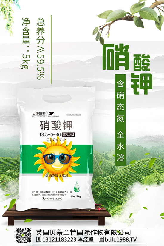 番茄空心果是怎么回事？如何做可以避免番茄空心？