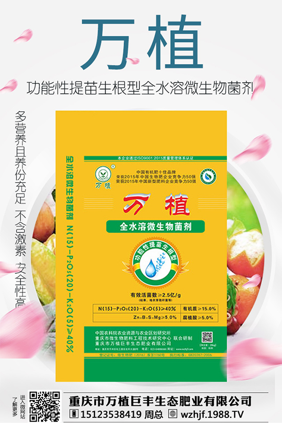     ��(zh��n)�Ժ������������fֲ���S�y��1988.TV�ل�(chu��ng)�x����