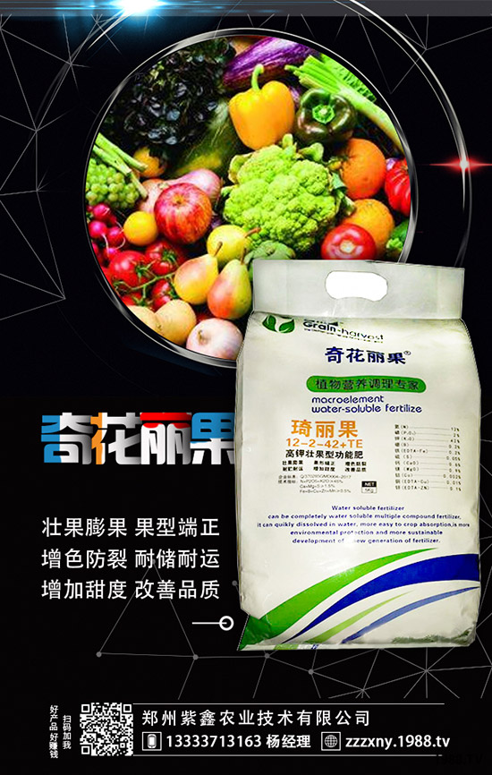 草莓母苗定植后怎樣施肥？怎樣澆水？