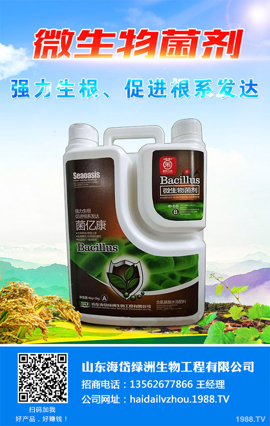 茼蒿該施什么肥料？如何施肥？聊聊茼蒿施肥那些事兒！