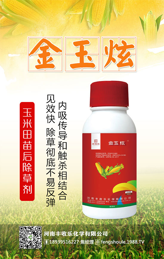 �������\�l(f��)չ�������S�՘��ٺ�1988.TV�_��(chu��ng)���x����