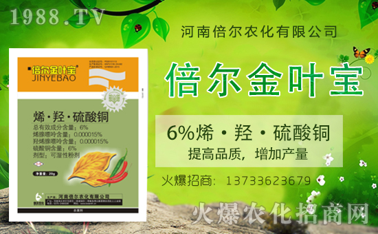 ���ϱ����m(x��)�s1988.TV���y�ֹ���(chu��ng)���x�ͣ�