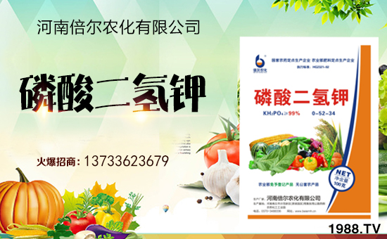 ���ϱ����m(x��)�s1988.TV���y�ֹ���(chu��ng)���x����