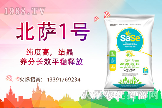 山茶花該怎么養(yǎng)，山茶花養(yǎng)殖方法和注意事項(xiàng)！