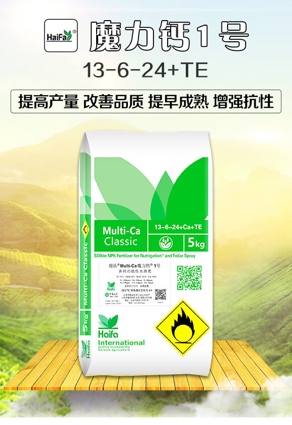 多功能性水溶肥13-6-24+TE-魔力鈣1號(hào)-海法科貿(mào)_01