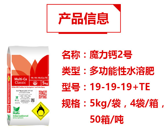 多功能性水溶肥19-19-19+TE-魔力鈣2號(hào)-海法科貿(mào)_02