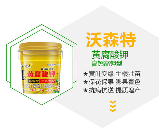 高鈣高鉀型黃腐酸鉀-施蓓森-沃森特_02