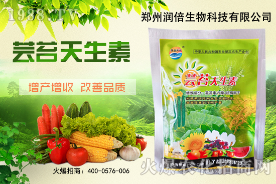 黃連苗期怎么管理？黃連苗期病蟲(chóng)害防治！