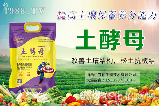 葡萄套袋有哪些好處，葡萄套袋技術(shù)要點(diǎn)及注意事項(xiàng)！