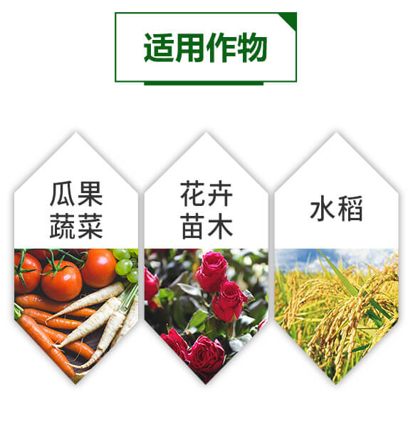 超能有機質膨果素-鋪滿天-天葉生物_05