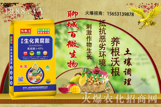 玉米在什么時期追肥，用什么肥料？玉米追肥有什么注意事項？