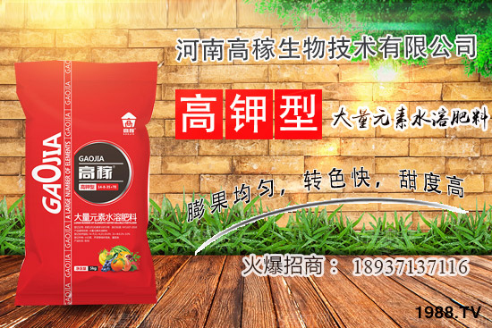 小香蔥種植環(huán)境有什么要求？夏季種植小香蔥的技巧！