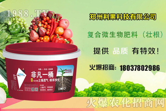 2020年種植辣椒賺錢嗎？種植前景如何？辣椒一畝地產量有多少？