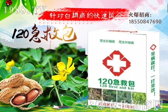 慈姑育苗方法有哪些？慈菇怎么移栽定植？