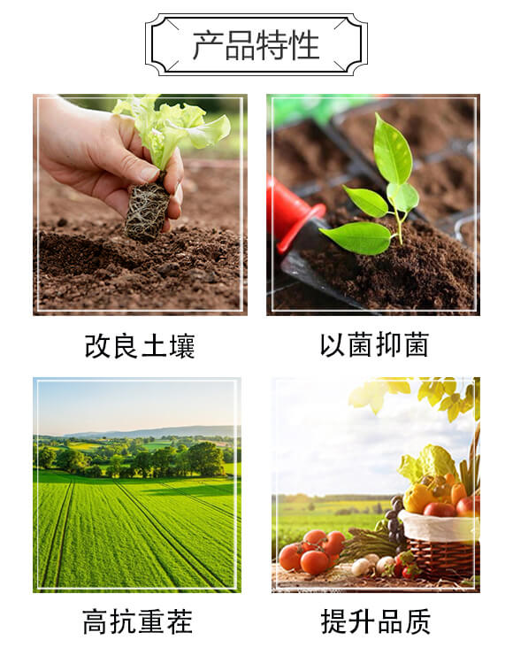 含菌復合肥-中農肥業(yè)_03