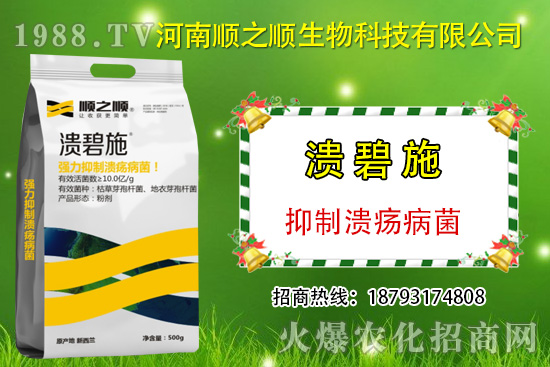 柑橘潰瘍病危害一年比一年嚴(yán)重，柑橘潰瘍病如何防控？