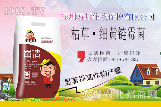 柑橘潰瘍病危害一年比一年嚴(yán)重，柑橘潰瘍病如何防控？