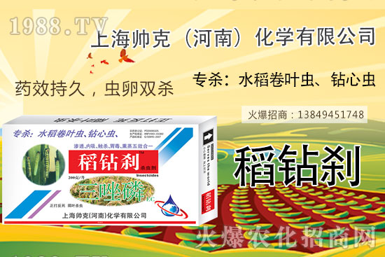     水稻鉆心蟲不好打？那是你沒用它！水稻鉆心蟲選對藥，防治不用愁！