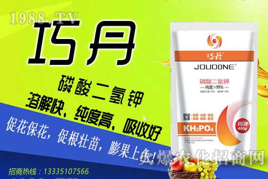 茄子需肥特性有哪些，夏季茄子高產(chǎn)管理技巧！