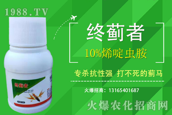 10%烯啶蟲胺能打薊馬嗎？有什么特點？10%烯啶蟲胺使用注意事項！