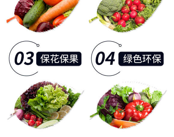 海藻精-金匠星_05