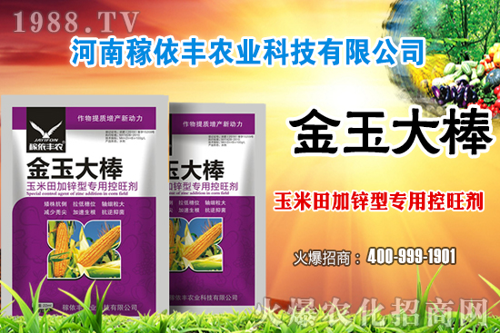 玉米施肥尿素和復(fù)合肥哪個好？玉米施肥注意事項有哪些？