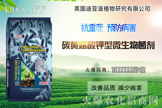 作物重茬危害難解決？這些解決措施你了解過嗎？