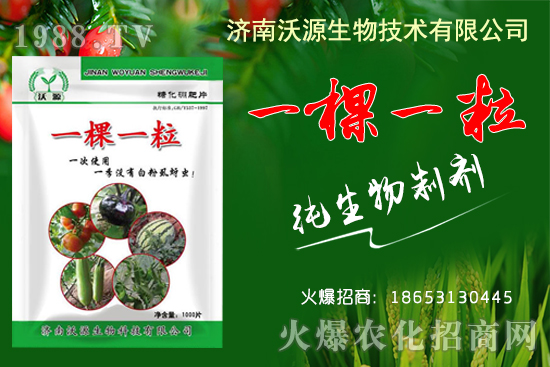     蚜蟲、白粉虱、薊馬怎么防？沃源生物“一棵一?！睔⒊x卵，藥效！