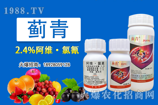 2.4%阿維·氯氰能打薊馬嗎？2.4%阿維·氯氰使用方法！