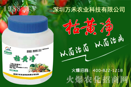 枯黃凈能防治哪些病害？枯黃凈適用作物及使用方法！