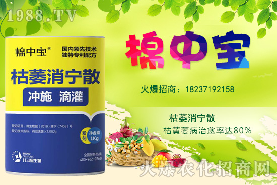 【品牌推薦】河南北斗星有什么優(yōu)勢(shì)？北斗星旗下產(chǎn)品有哪些？