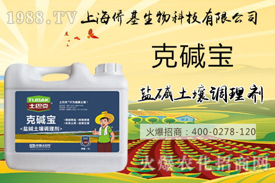 土壤鹽堿危害大，“克堿寶”消除鹽堿，還您一片沃土！