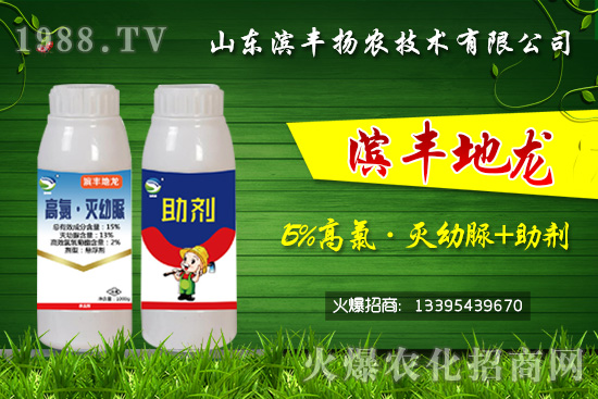 黑頭蛆、地蛆、根蛆如何有效防治？“15%高氯·滅幼脲+助劑”殺蛆雙保險！	