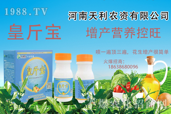  花生施肥常見問題有哪些？花生需肥規(guī)律及施肥方案講解！