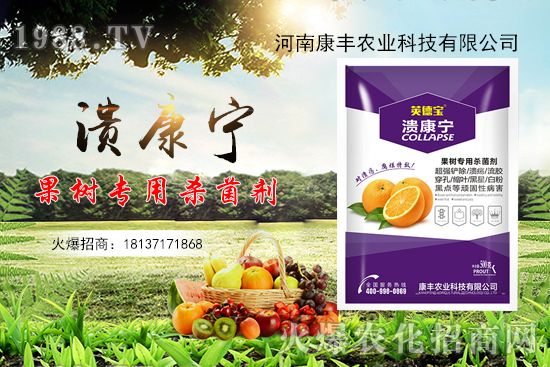柑橘潰瘍病又到高發(fā)期，康豐農(nóng)業(yè)“潰康寧”防治效果怎么樣？