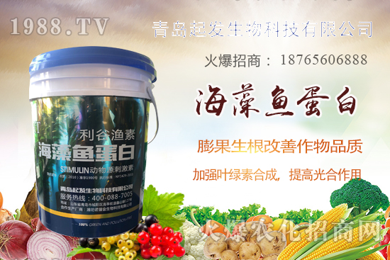 蔬菜定植如何緩苗快？蔬菜生根誤區(qū)有哪些？蔬菜生根壯苗肥推薦！