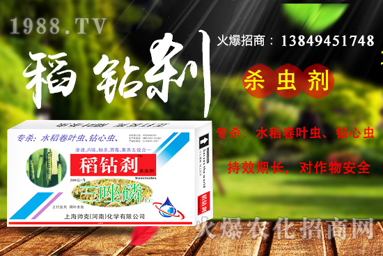 水稻鉆心蟲抗性嚴重，該如何防治？ “稻鉆剎”教您如何消滅！