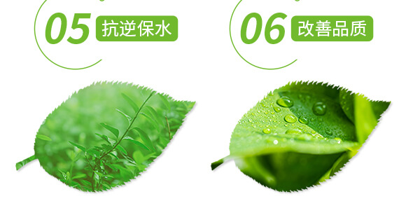 礦源黃腐酸鉀-黑色革命-愛農(nóng)斯達_06