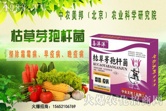 枯草芽孢桿菌治根腐病嗎，防治哪些土傳病害？防治對象有哪些？