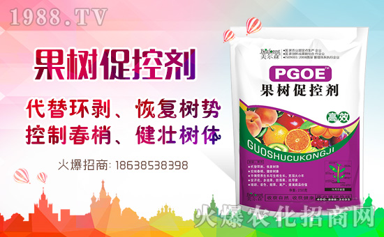 果樹(shù)巧用多效唑！效果翻倍沒(méi)問(wèn)題！多效唑的作用與使用方法！