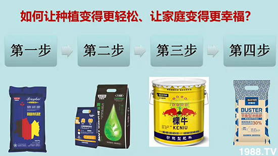     如何讓種植變得更輕松？一個(gè)套餐，全面配方，巴斯特大姜營(yíng)養(yǎng)套餐方案！