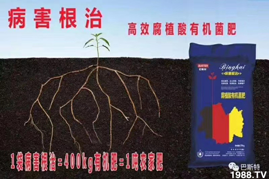     如何讓種植變得更輕松？一個(gè)套餐，全面配方，巴斯特大姜營(yíng)養(yǎng)套餐方案！