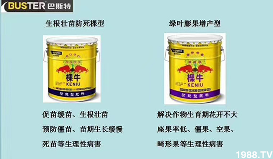     如何讓種植變得更輕松？一個(gè)套餐，全面配方，巴斯特大姜營(yíng)養(yǎng)套餐方案！