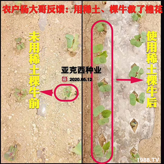     如何讓種植變得更輕松？一個(gè)套餐，全面配方，巴斯特大姜營(yíng)養(yǎng)套餐方案！