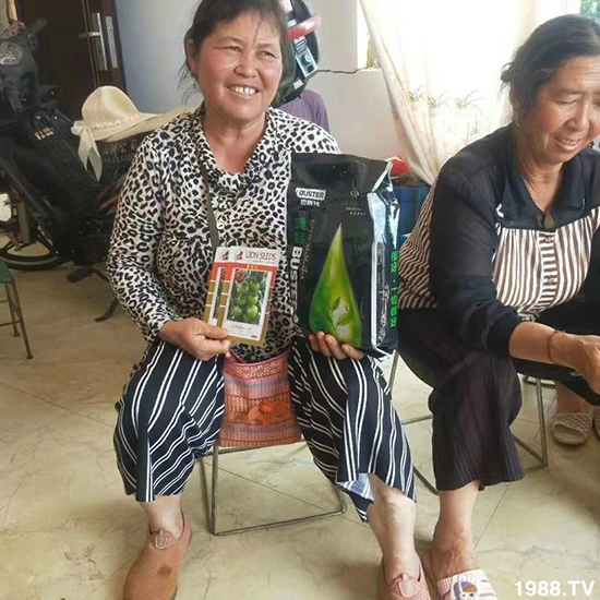     如何讓種植變得更輕松？一個(gè)套餐，全面配方，巴斯特大姜營(yíng)養(yǎng)套餐方案！