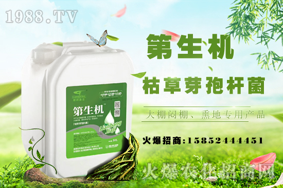 豆角只長蔓不開花啥原因？如何促花促莢提產量？